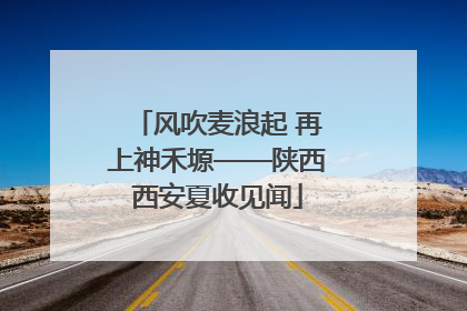 风吹麦浪起 再上神禾塬——陕西西安夏收见闻