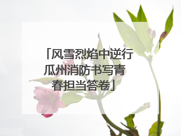 风雪烈焰中逆行 瓜州消防书写青春担当答卷