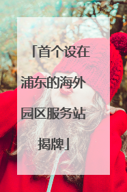 首个设在浦东的海外园区服务站揭牌