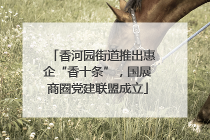 香河园街道推出惠企“香十条”，国展商圈党建联盟成立