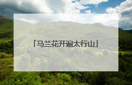 马兰花开遍太行山