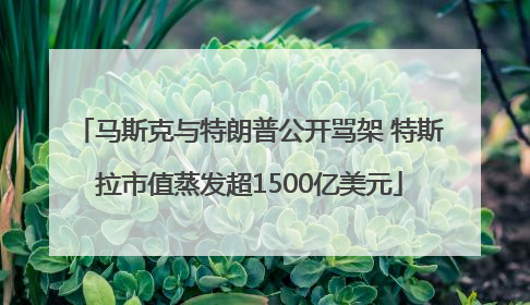 马斯克与特朗普公开骂架 特斯拉市值蒸发超1500亿美元