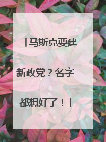 马斯克要建新政党？名字都想好了！