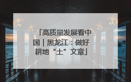 高质量发展看中国｜黑龙江：做好耕地“土”文章