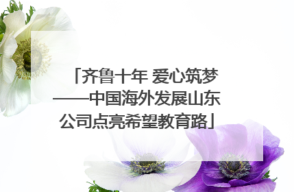 齐鲁十年 爱心筑梦——中国海外发展山东公司点亮希望教育路