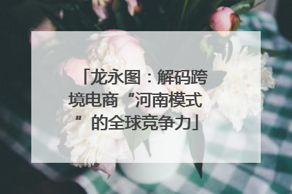 龙永图：解码跨境电商“河南模式”的全球竞争力