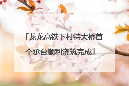 龙龙高铁下村特大桥首个承台顺利浇筑完成