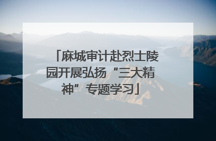 麻城审计赴烈士陵园开展弘扬“三大精神”专题学习