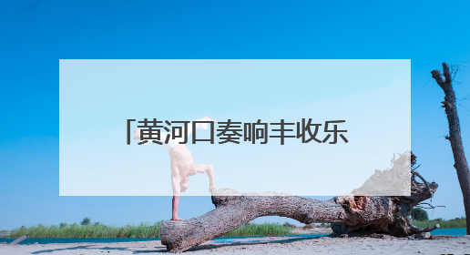 黄河口奏响丰收乐章——全市小麦进入大面积收获高峰期