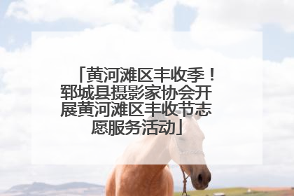 黄河滩区丰收季！郓城县摄影家协会开展黄河滩区丰收节志愿服务活动