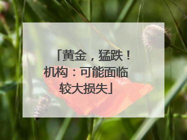 黄金，猛跌！机构：可能面临较大损失