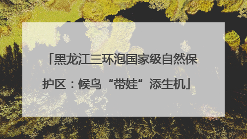黑龙江三环泡国家级自然保护区：候鸟“带娃”添生机