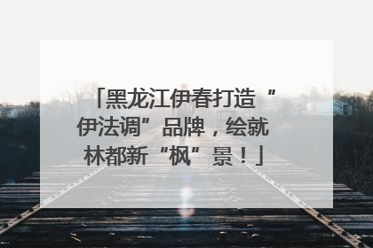 黑龙江伊春打造“伊法调”品牌，绘就林都新“枫”景！