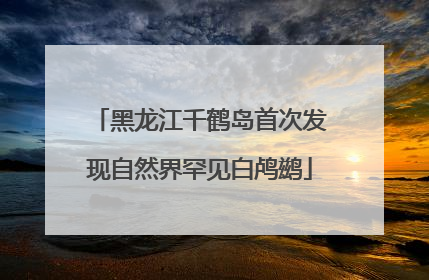黑龙江千鹤岛首次发现自然界罕见白鸬鹚