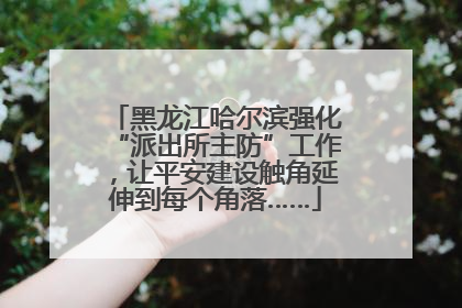 黑龙江哈尔滨强化“派出所主防”工作，让平安建设触角延伸到每个角落……