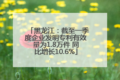 黑龙江：截至一季度企业发明专利有效量为1.8万件 同比增长10.6%