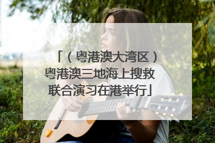 （粤港澳大湾区）粤港澳三地海上搜救联合演习在港举行