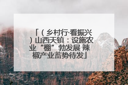 （乡村行·看振兴）山西天镇：设施农业“棚”勃发展 辣椒产业蓄势待发