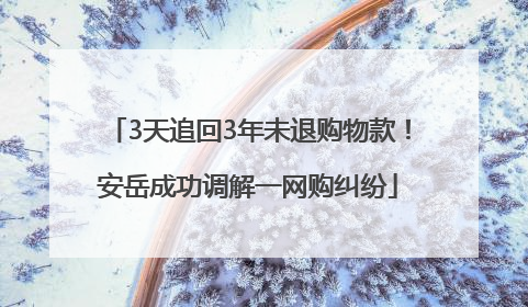 3天追回3年未退购物款！安岳成功调解一网购纠纷