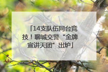14支队伍同台竞技！聊城交警“金牌宣讲天团”出炉