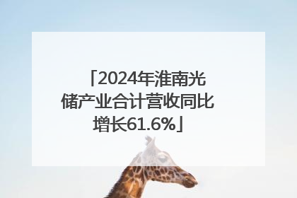 2024年淮南光储产业合计营收同比增长61.6%
