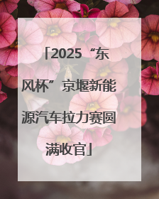2025“东风杯”京堰新能源汽车拉力赛圆满收官