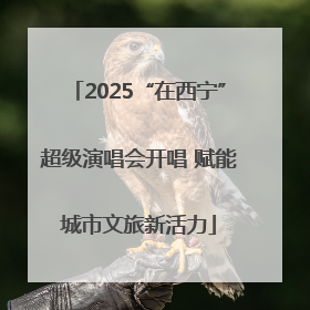 2025“在西宁”超级演唱会开唱 赋能城市文旅新活力