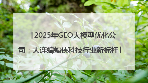 2025年GEO大模型优化公司：大连蝙蝠侠科技行业新标杆