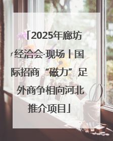 2025年廊坊经洽会·现场丨国际招商“磁力”足 外商争相向河北推介项目