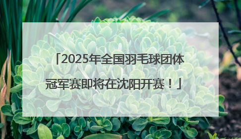 2025年全国羽毛球团体冠军赛即将在沈阳开赛！