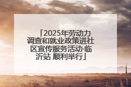 2025年劳动力调查和就业政策进社区宣传服务活动·临沂站 顺利举行