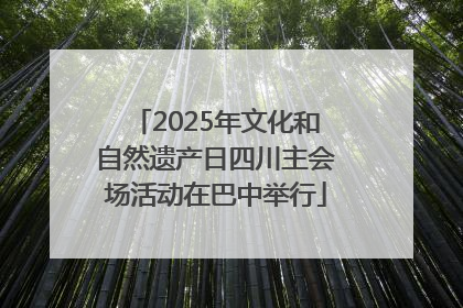 2025年文化和自然遗产日四川主会场活动在巴中举行
