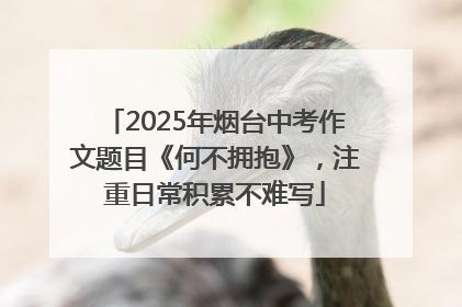 2025年烟台中考作文题目《何不拥抱》，注重日常积累不难写