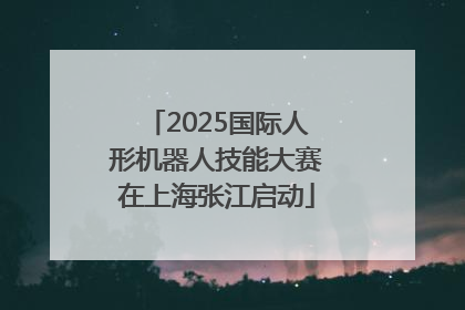 2025国际人形机器人技能大赛在上海张江启动
