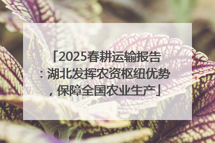 2025春耕运输报告：湖北发挥农资枢纽优势，保障全国农业生产