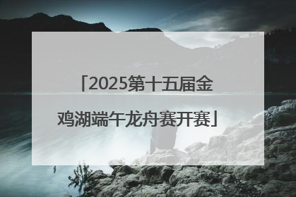 2025第十五届金鸡湖端午龙舟赛开赛