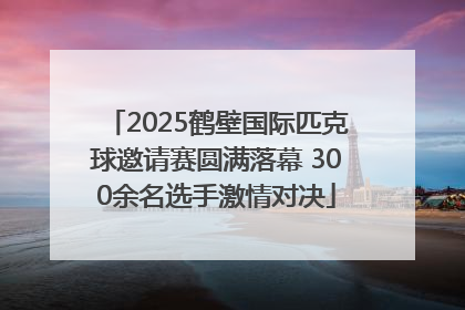 2025鹤壁国际匹克球邀请赛圆满落幕 300余名选手激情对决