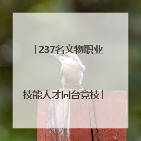 237名文物职业技能人才同台竞技