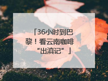 36小时到巴黎！看云南咖啡“出滇记”