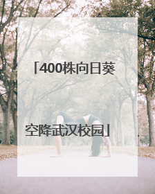 400株向日葵空降武汉校园