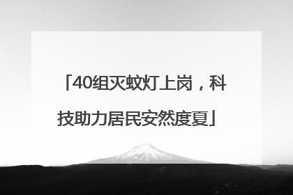 40组灭蚊灯上岗，科技助力居民安然度夏