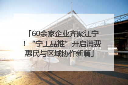 60余家企业齐聚江宁！“宁工品推”开启消费惠民与区域协作新篇