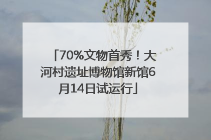70%文物首秀！大河村遗址博物馆新馆6月14日试运行