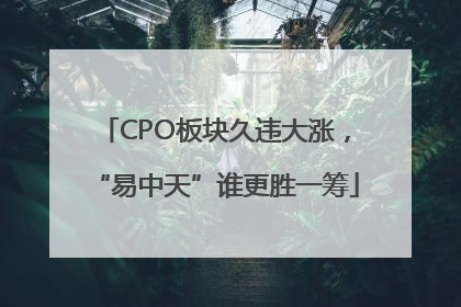 CPO板块久违大涨，“易中天”谁更胜一筹