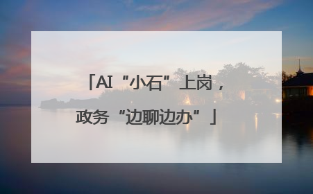 AI“小石”上岗，政务“边聊边办”