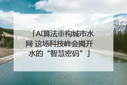 AI算法重构城市水网 这场科技峰会揭开水的“智慧密码”