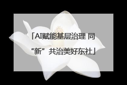 AI赋能基层治理 同“新”共治美好东社