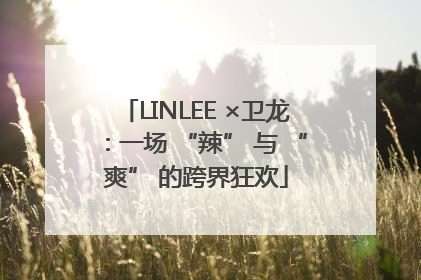 LINLEE ×卫龙：一场 “辣” 与 “爽” 的跨界狂欢