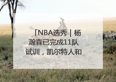 NBA选秀｜杨瀚森已完成11队试训，凯尔特人和太阳更适合他