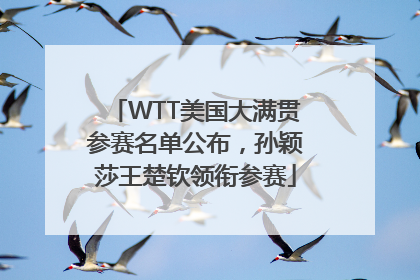 WTT美国大满贯参赛名单公布，孙颖莎王楚钦领衔参赛
